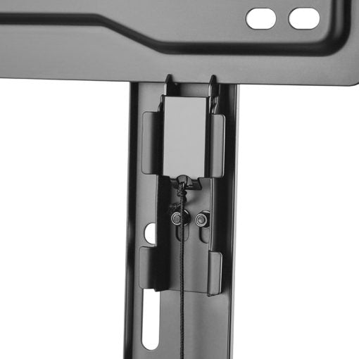 Image4