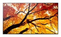 Sharp PN-M322 - 81 cm (32") Diagonalklasse M-Series